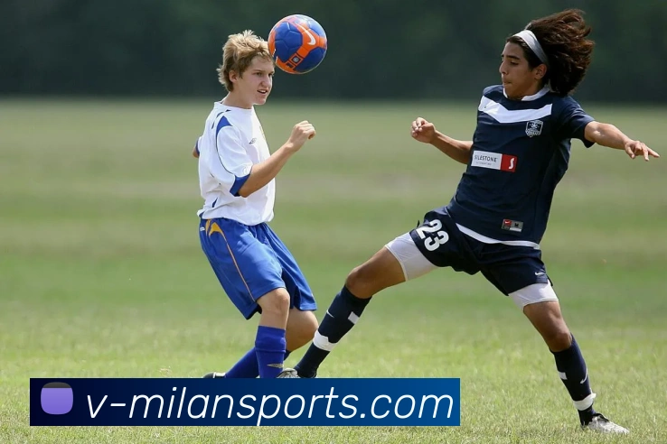 多媒体互动体验